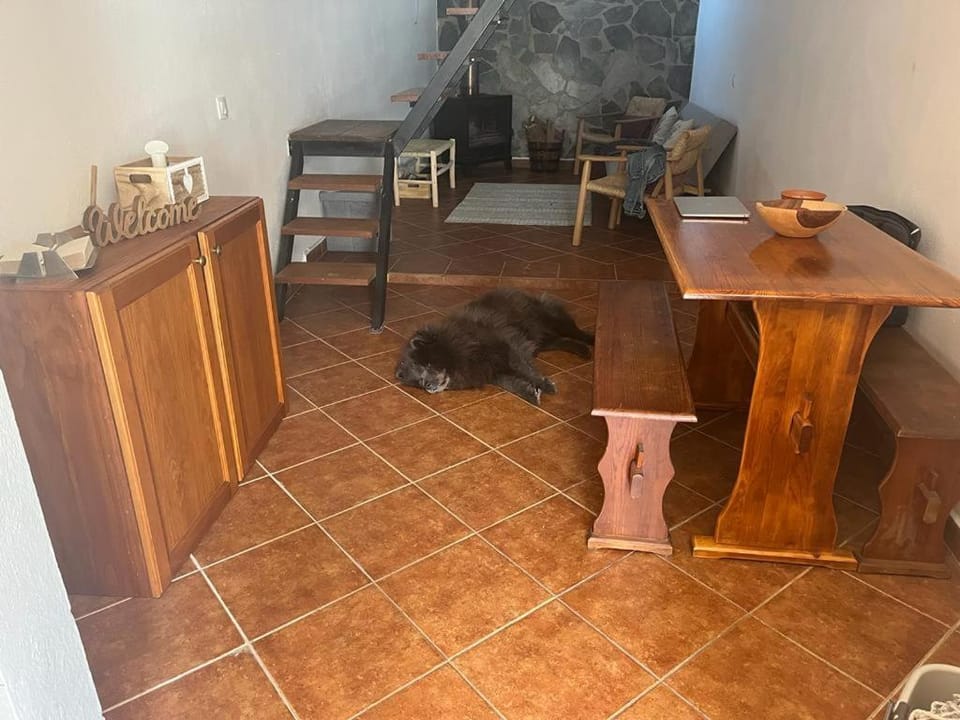 Casa Pardalitos Bed and Breakfast in Évora District, Portugal