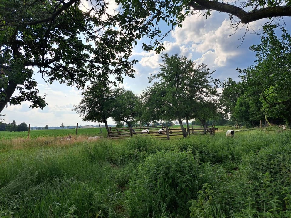 Śródziemie Gondor Farm Stay in Pomeranian Voivodeship