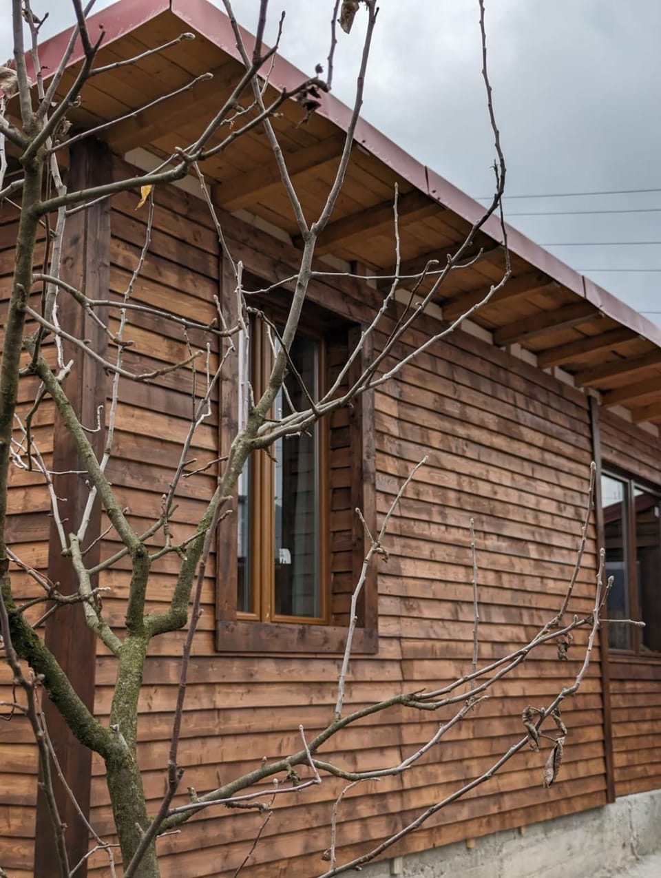 Casa CeDar House in Romania