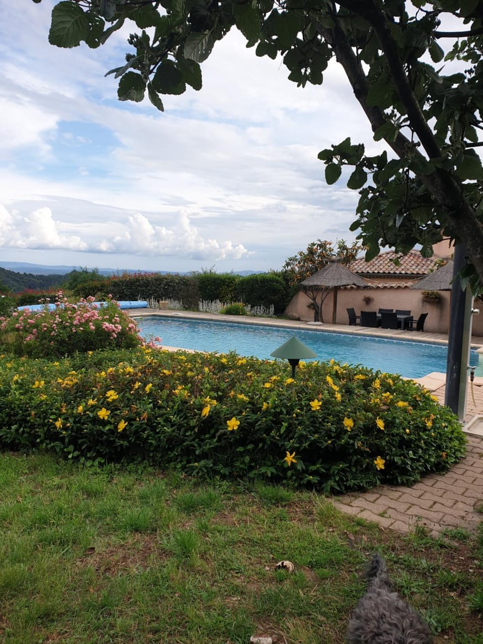 Garden, Garden view, Pool view, Swimming pool