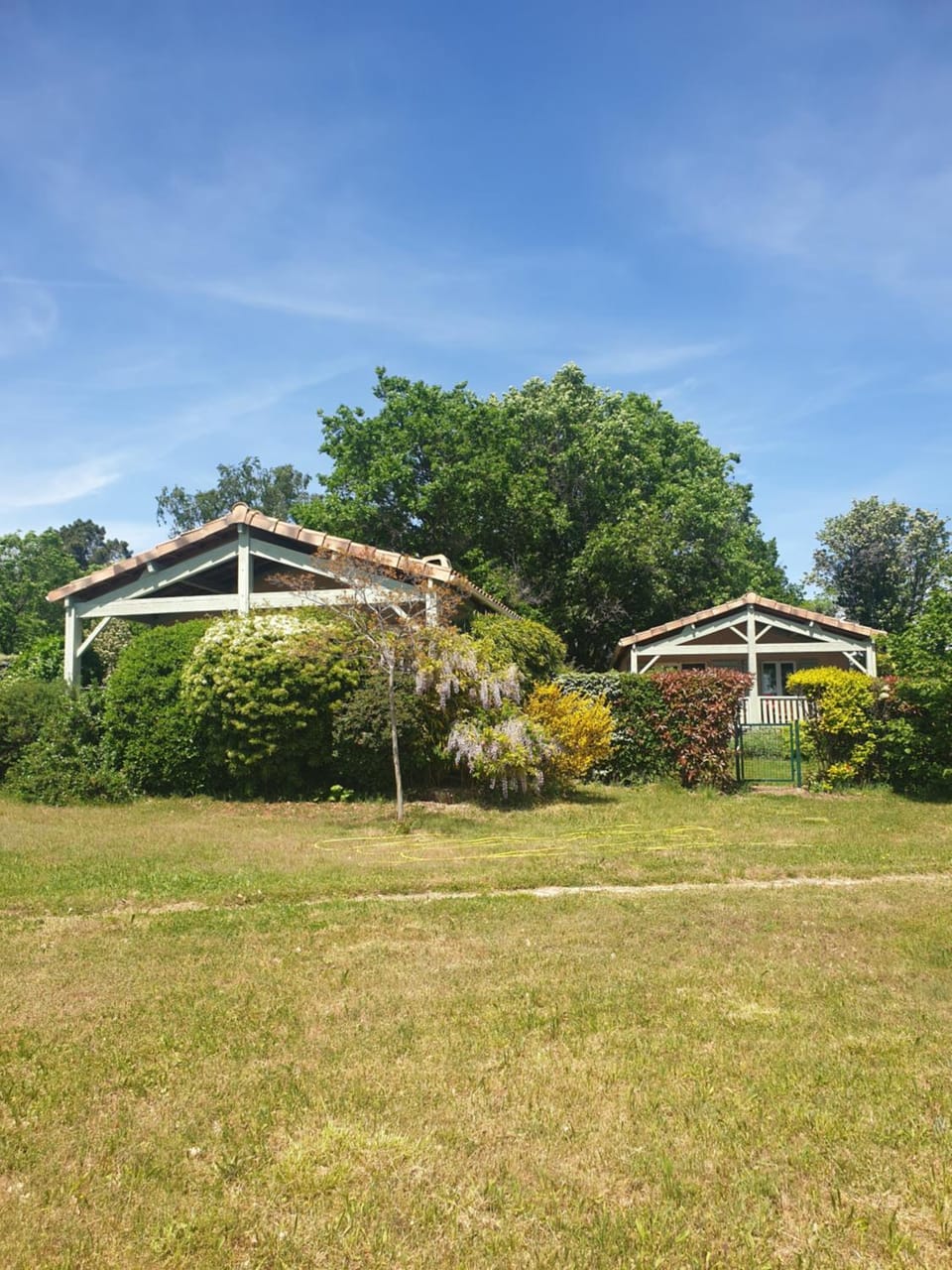 Natural landscape, Garden, Garden view