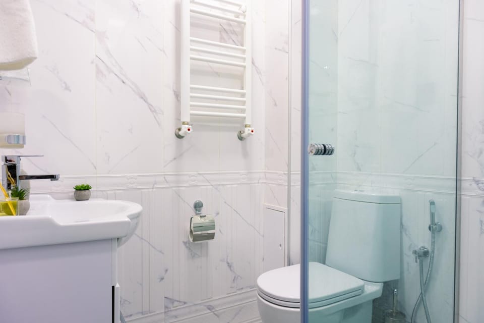 Shower, Toilet, Bathroom, towels