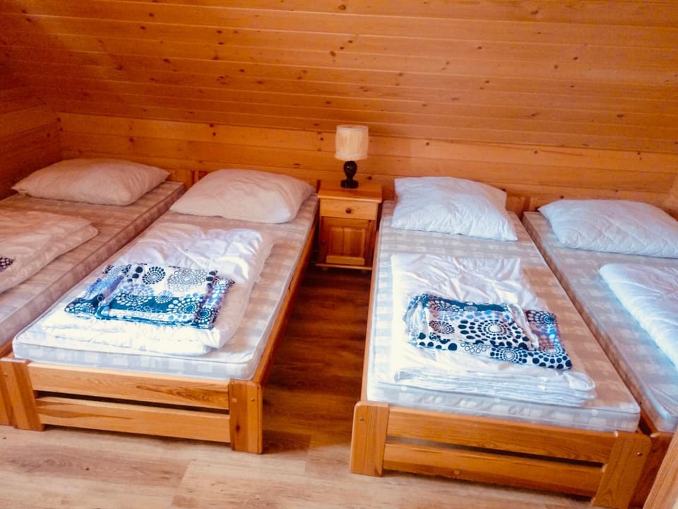 Domki na Tynioku House in Slovakia