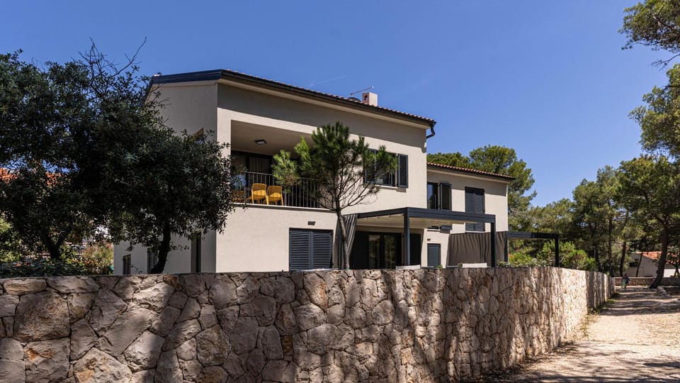 Property building, Day