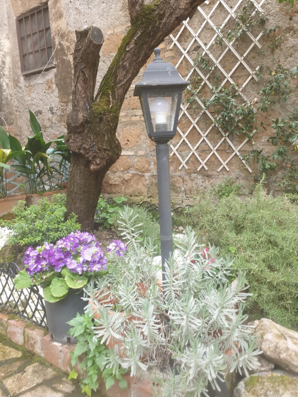 IL GIARDINETTO di Dilyana Bed and Breakfast in Lazio