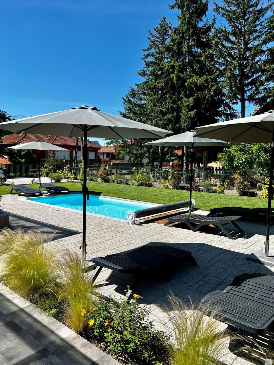 Garden, Swimming pool, sunbed