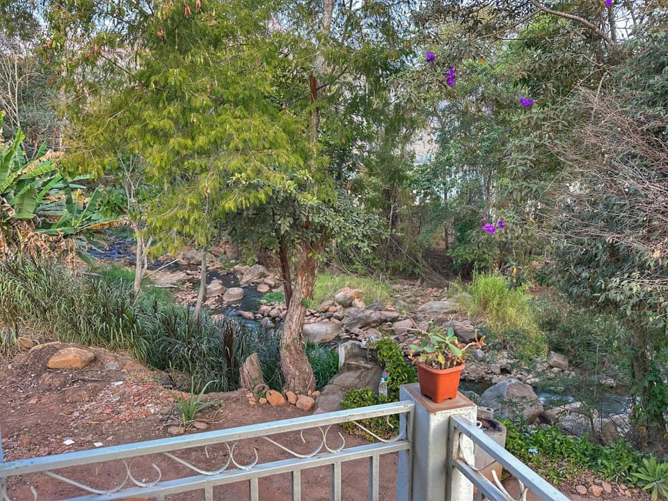 View (from property/room), Garden view