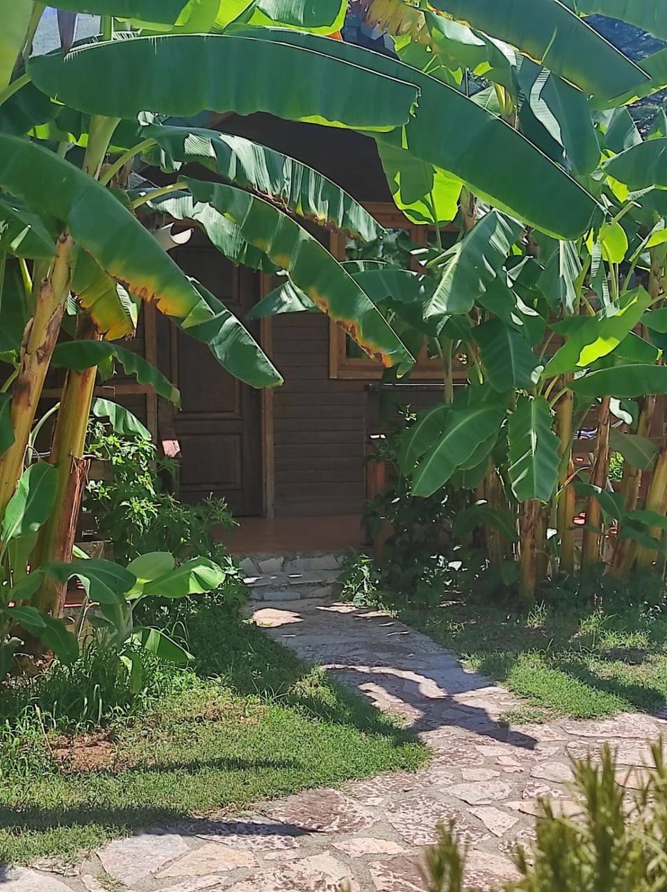 Natural landscape, Garden view