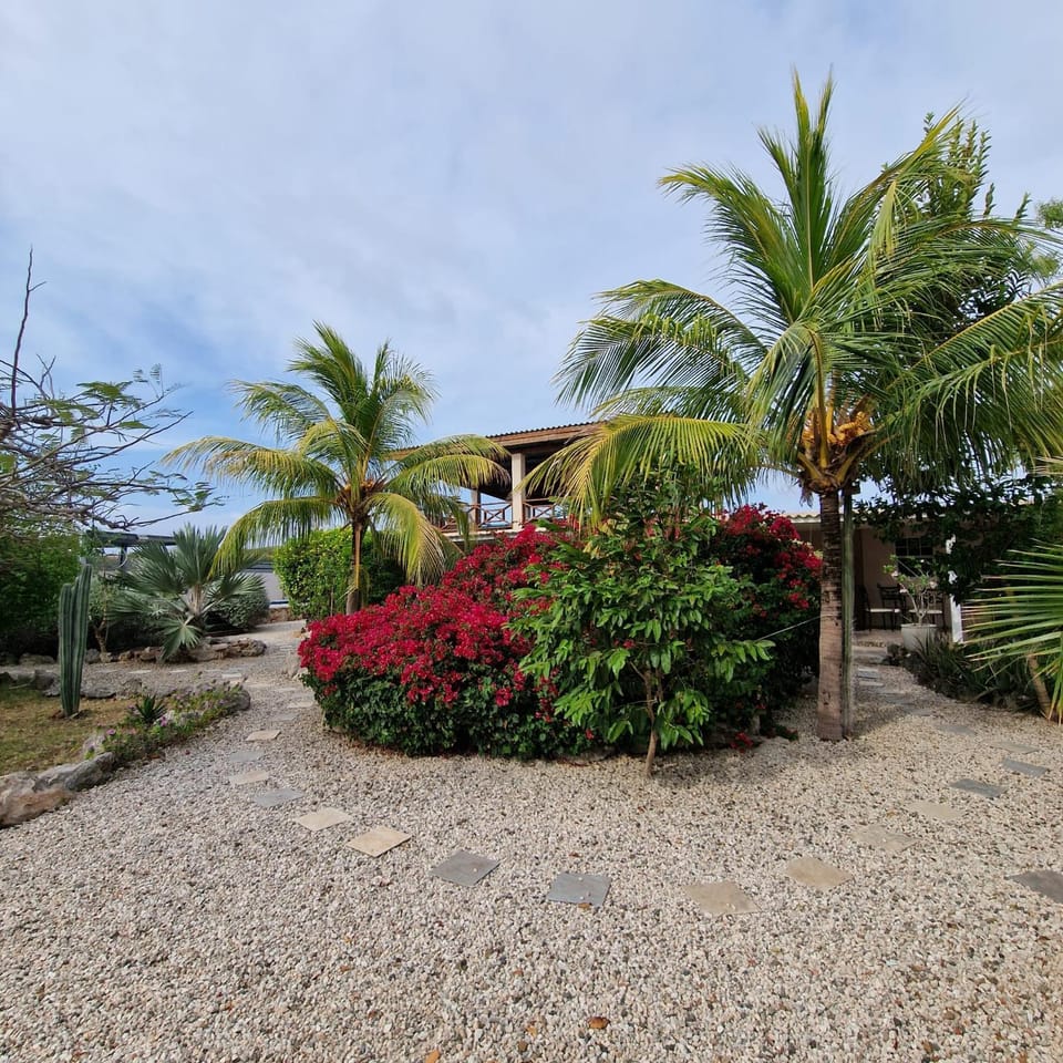 Nos Soño Stay and Dive Apartment in Sabana Westpunt