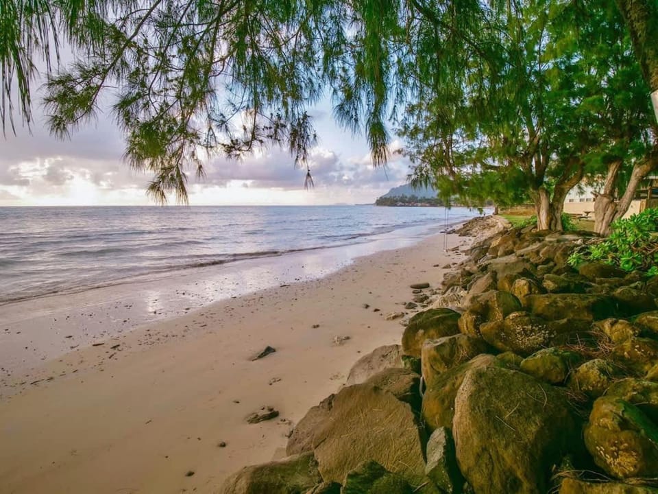 Magic North Shore Beach House 30 day rental PCC BY House in Punaluu