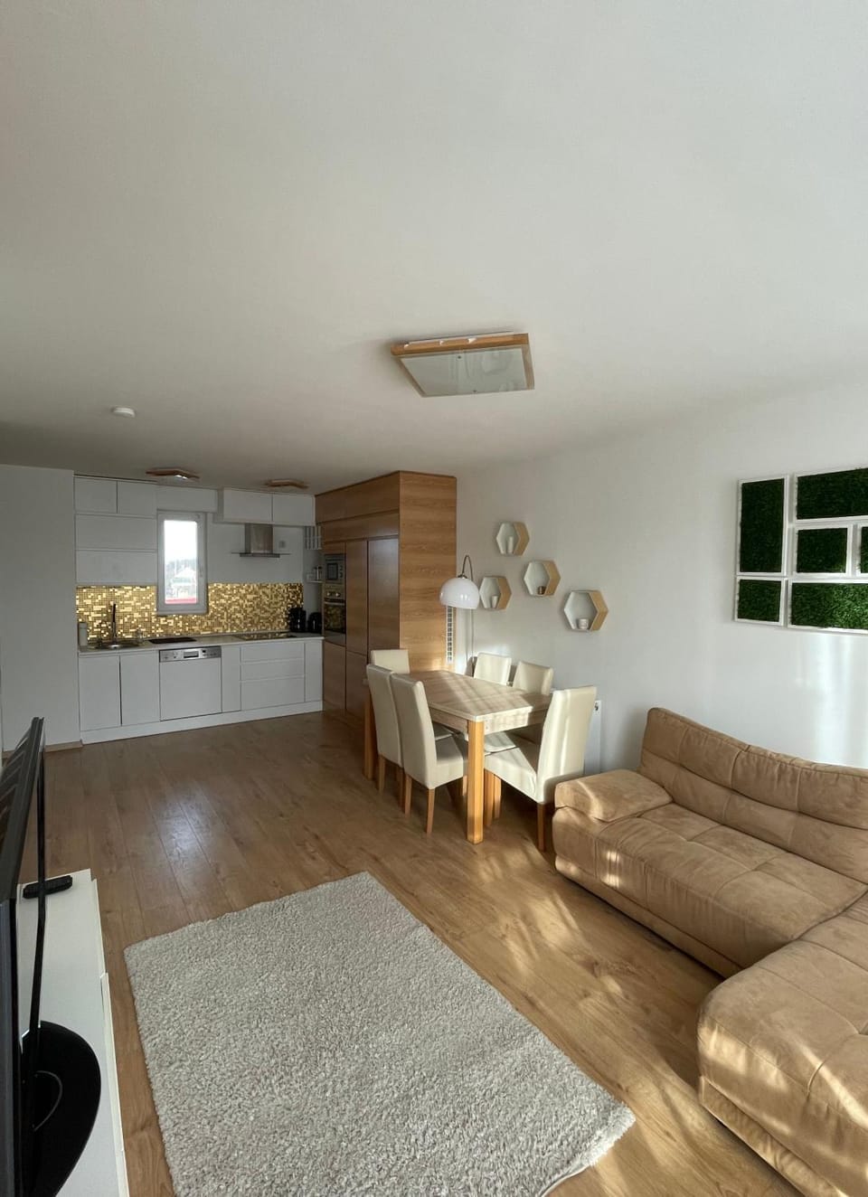 Kitchen or kitchenette, Living room