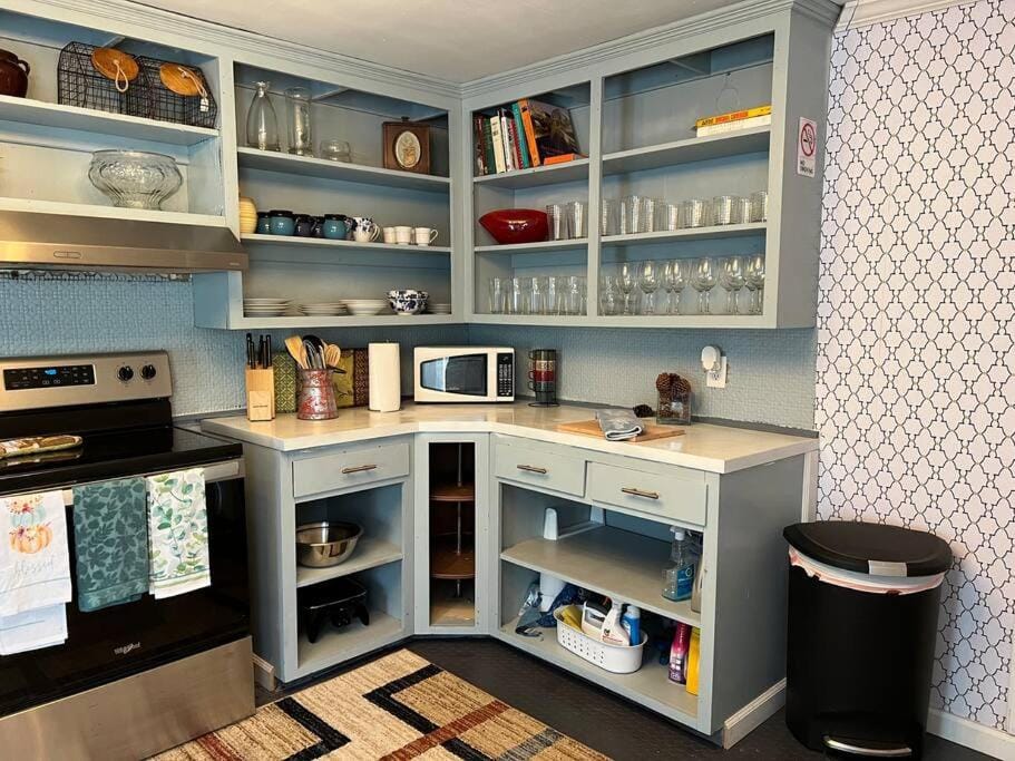 Kitchen or kitchenette, minibar, pet friendly, stove