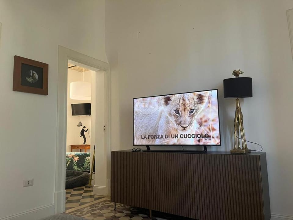 TV and multimedia