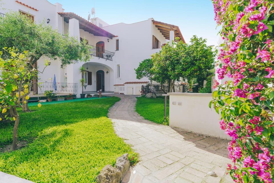 Property building, Spring, Day, Natural landscape, Garden, Garden view
