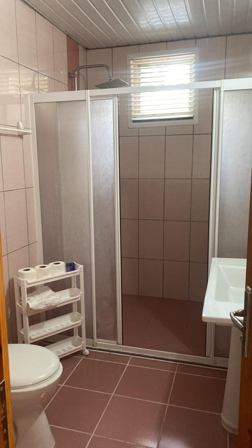 Shower, Toilet, Bathroom, towels