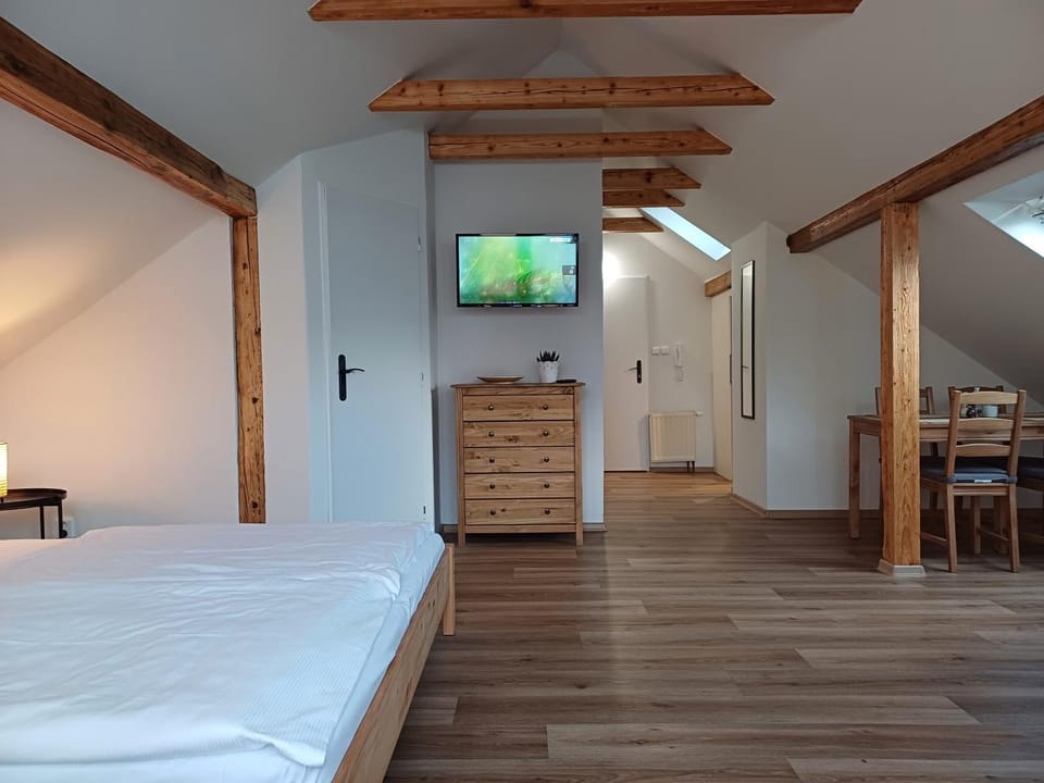 LOFT Apartment Apartment in Saxony