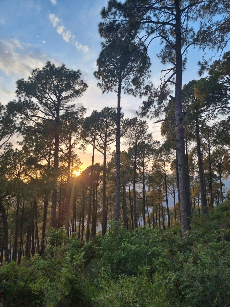 Spring, Natural landscape, Sunset