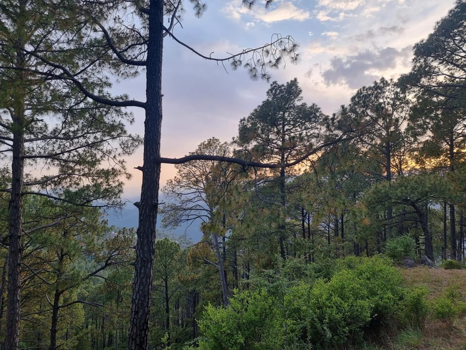 Spring, Natural landscape, Mountain view