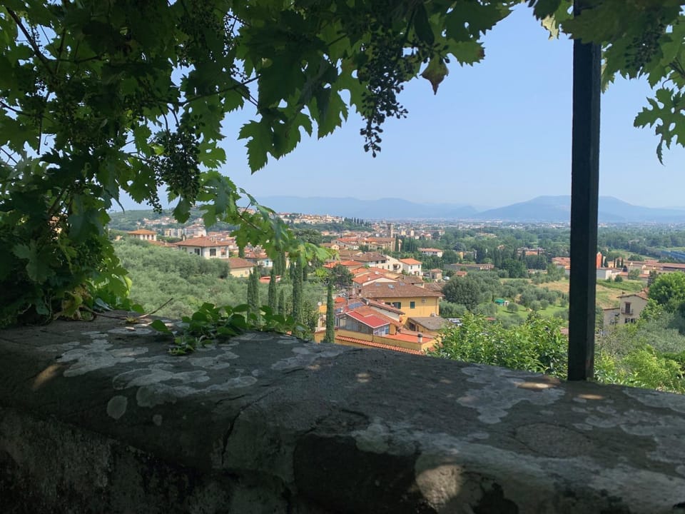 City view