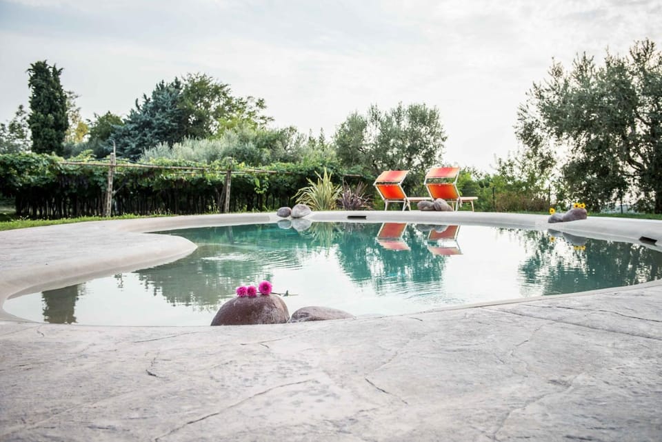 Swimming pool, Swimming pool