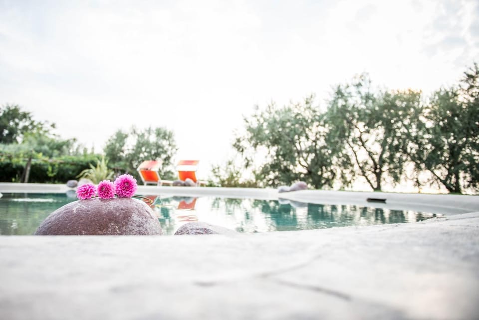 Swimming pool, Swimming pool