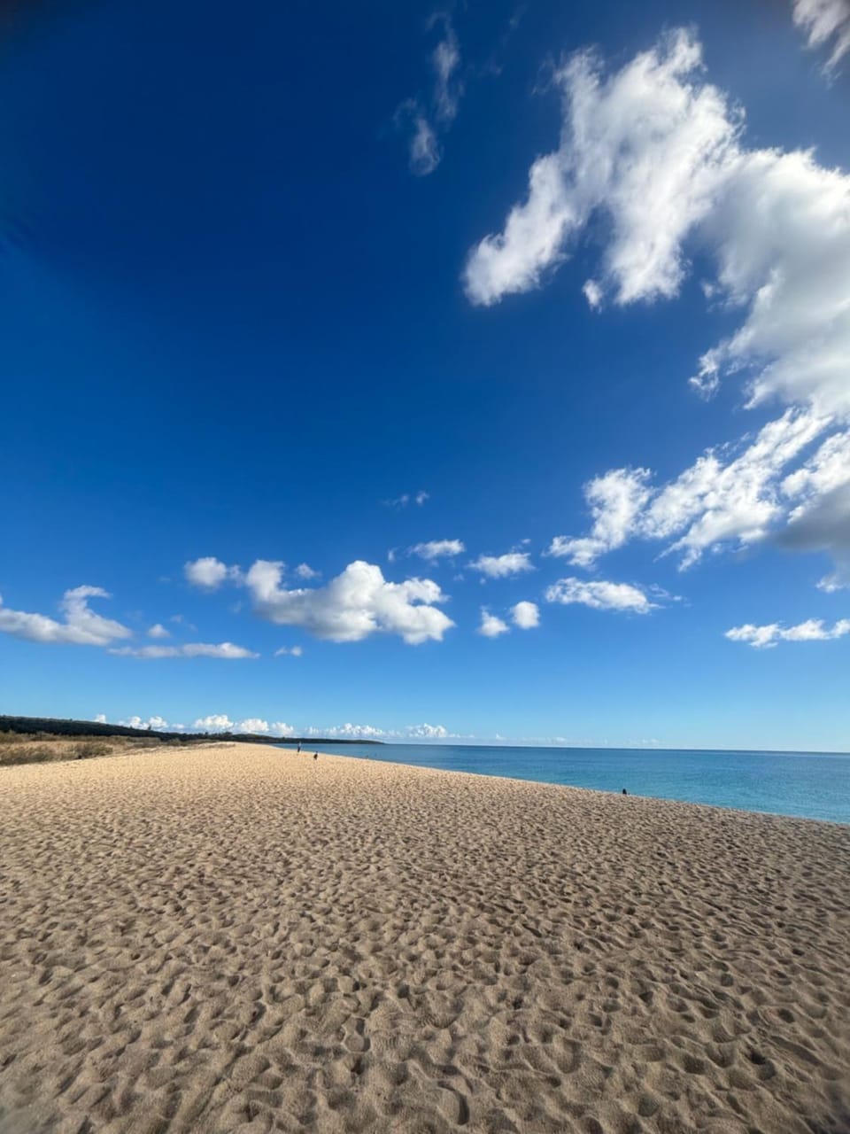Nearby landmark, Beach