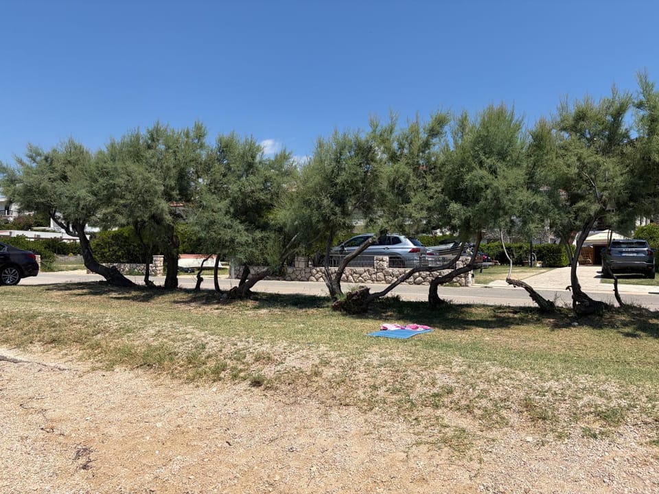 Apartments and rooms Iva Apartment in Zadar County