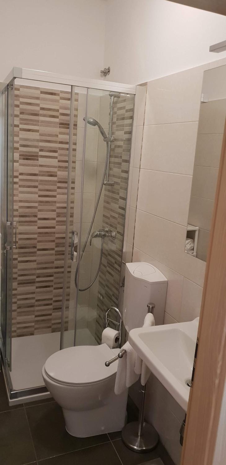 Shower, Toilet, Bathroom, towels