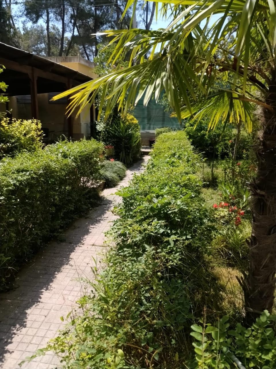 Garden view