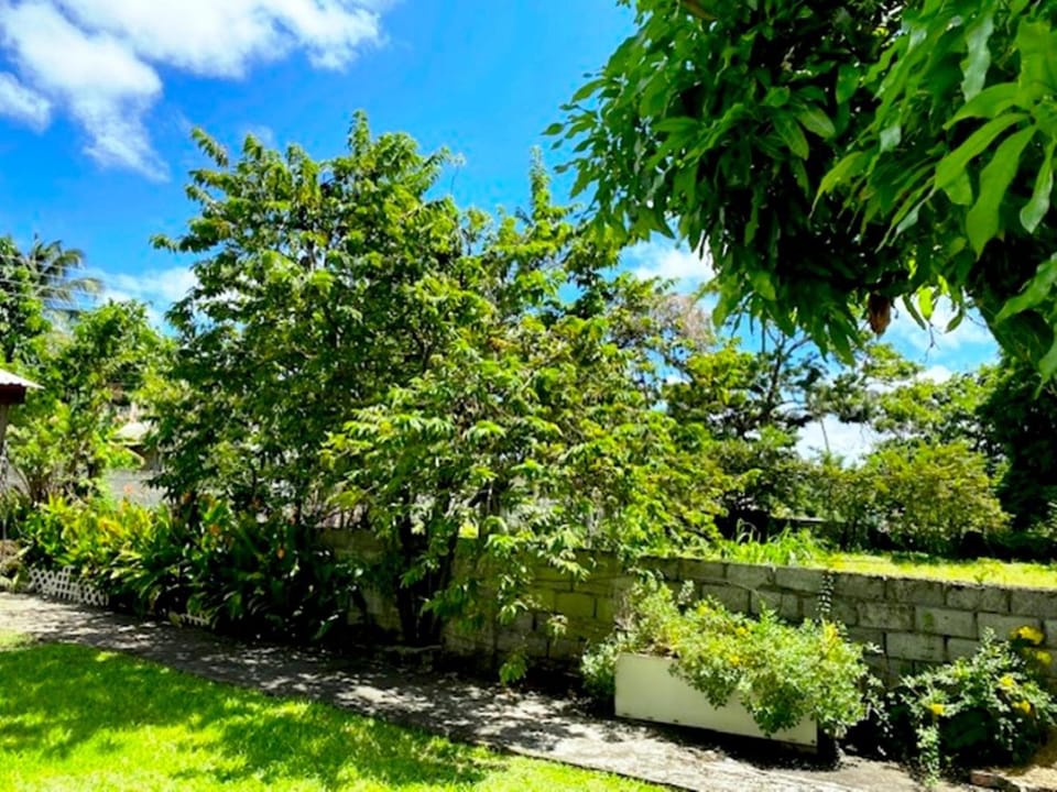 Day, Natural landscape, Garden view