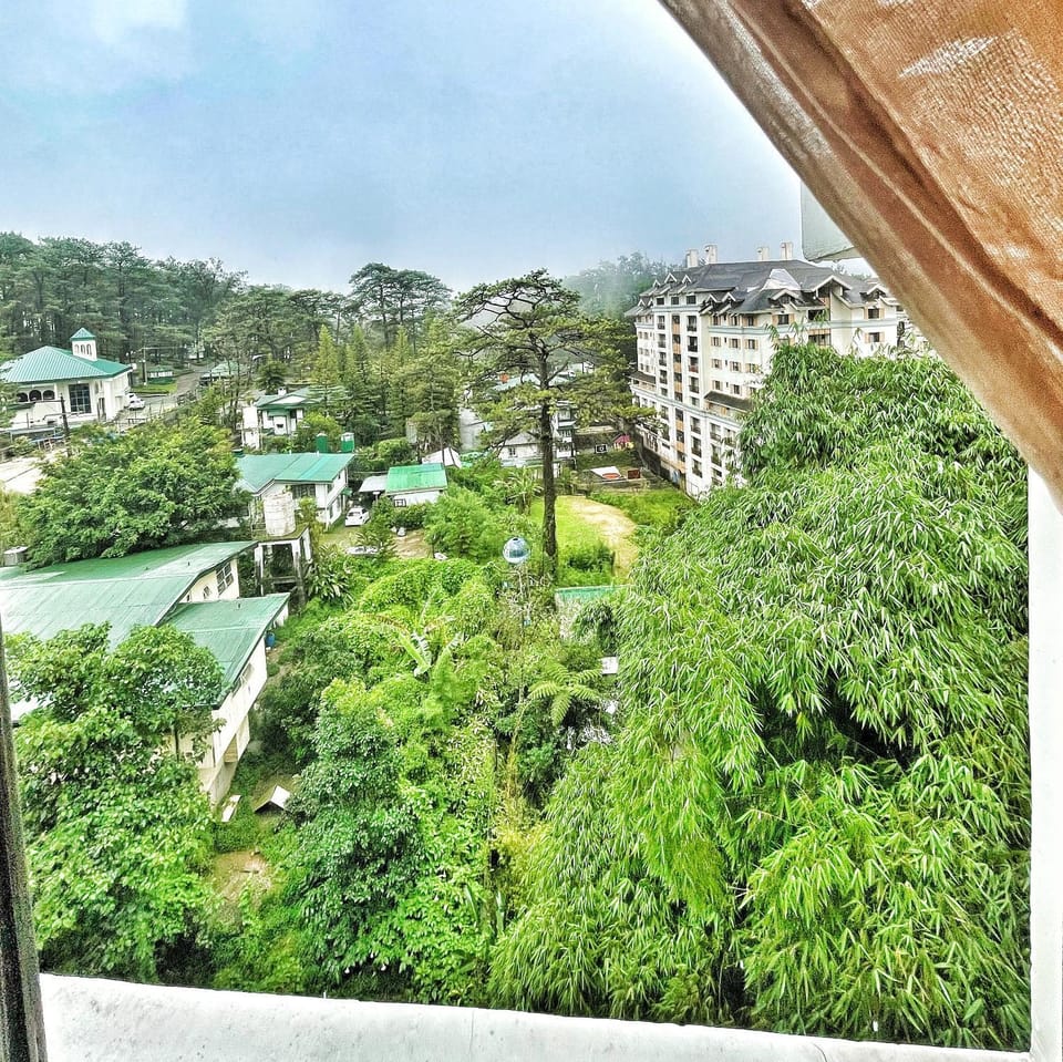 Natural landscape, Garden, Garden view
