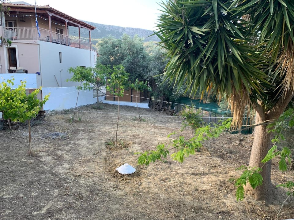 Olivenhainhaus / Eleonas Apartment in Peloponnese Region