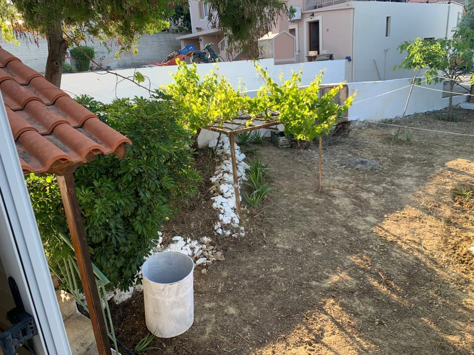Olivenhainhaus / Eleonas Apartment in Peloponnese Region