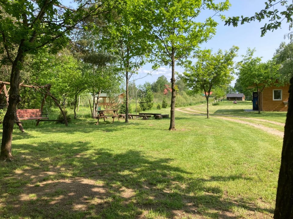 Natural landscape, Garden view