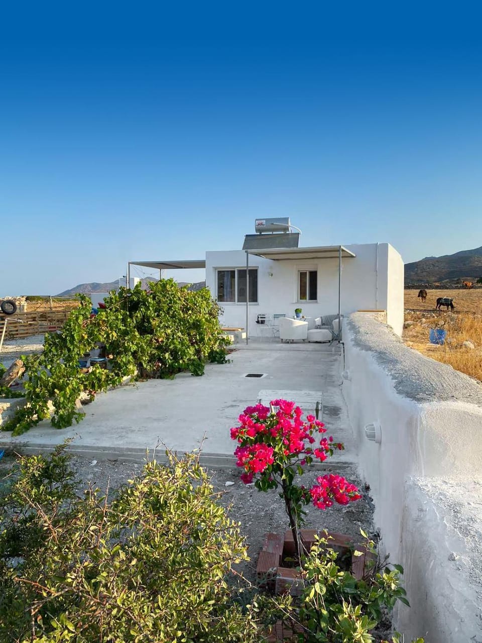 Property building, Garden, View (from property/room), Sea view