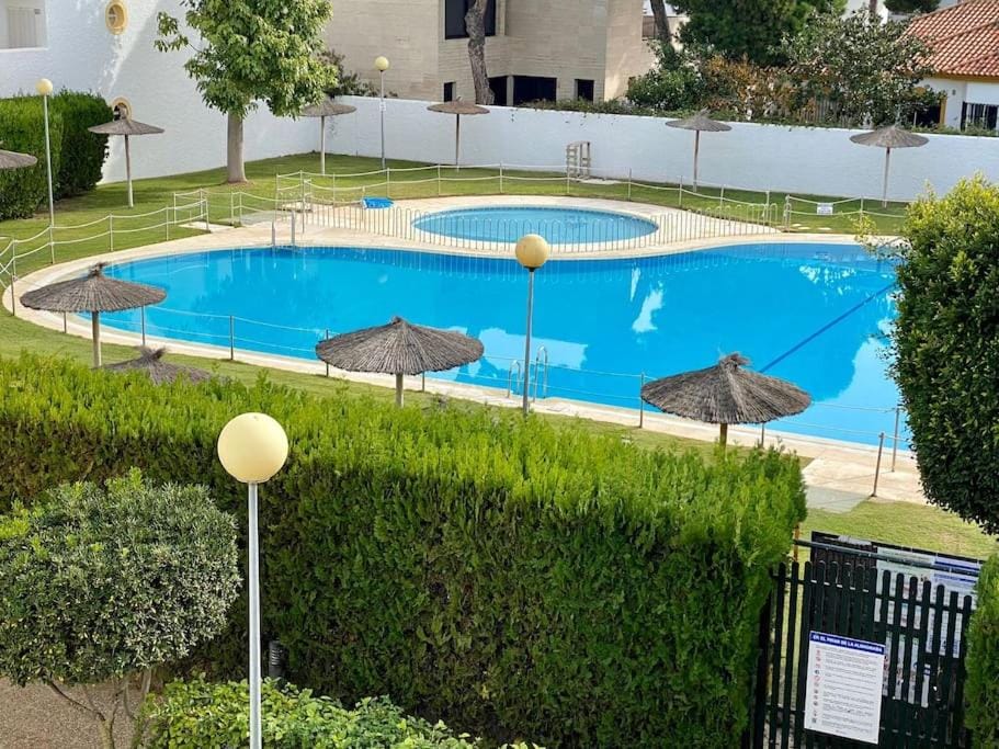 Pool view, Swimming pool