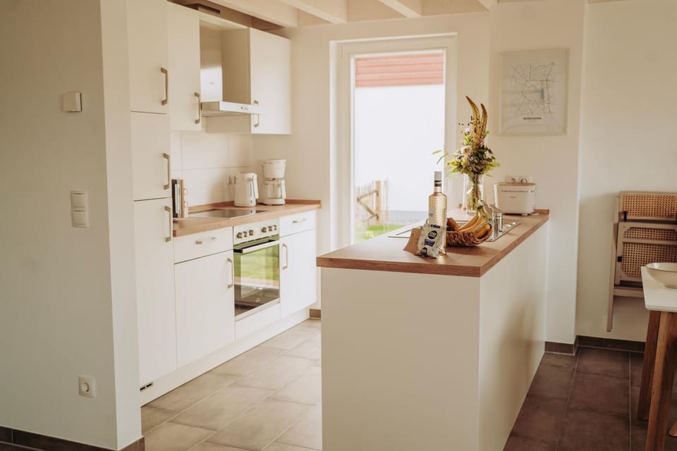 Coffee/tea facilities, Kitchen or kitchenette, minibar, stove, kitchen