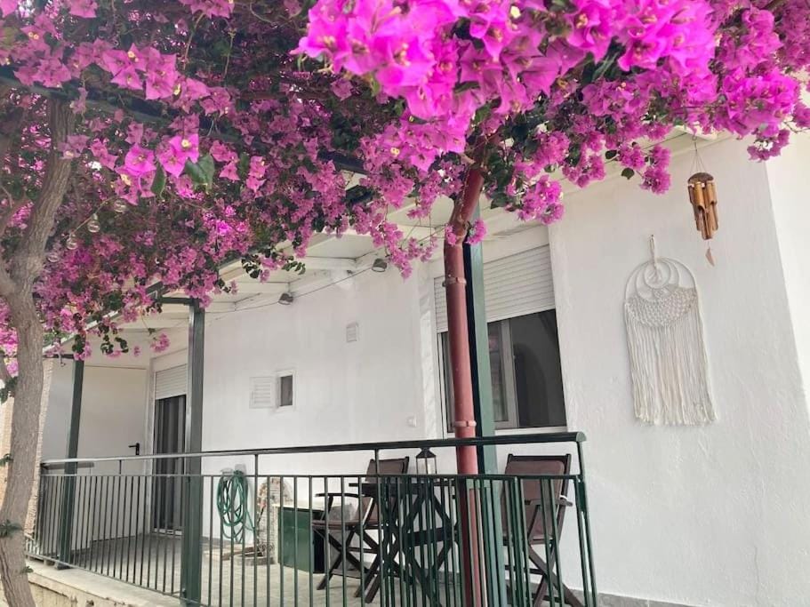 Mokamvilia House Apartment in Halkidiki