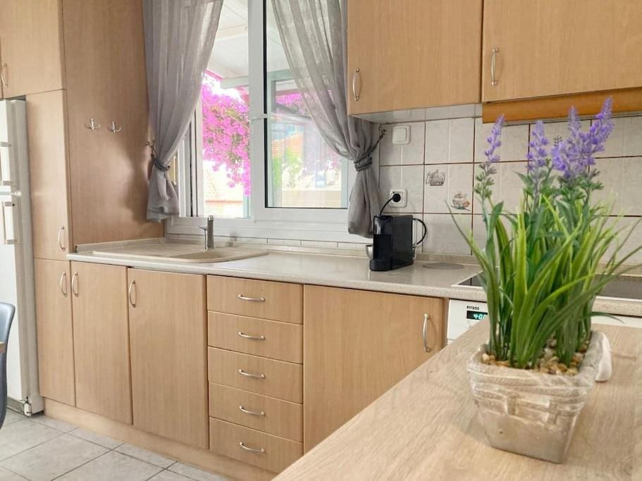 Mokamvilia House Apartment in Halkidiki