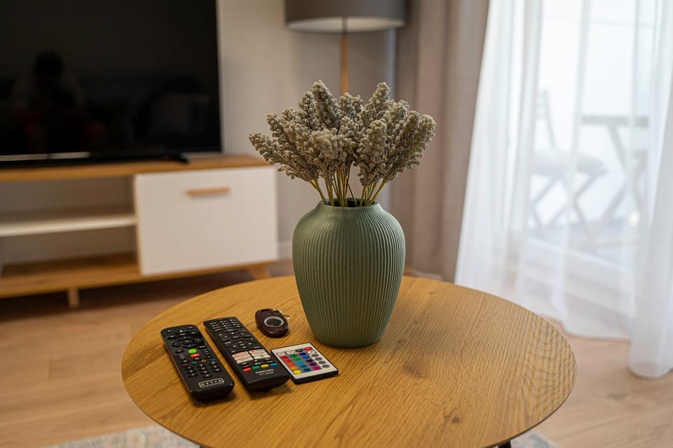 TV and multimedia