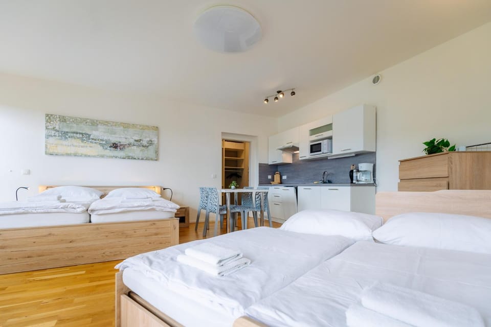 Horský apartmán Temari 12 Klínovec Apartment in Erzgebirgskreis