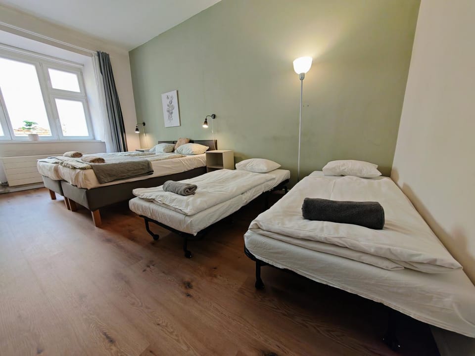 Flat in Zizkov -101- Apartment in Prague