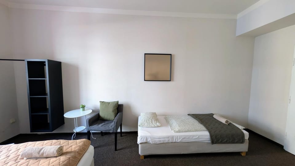 Flat in Zizkov -103- Apartment in Prague