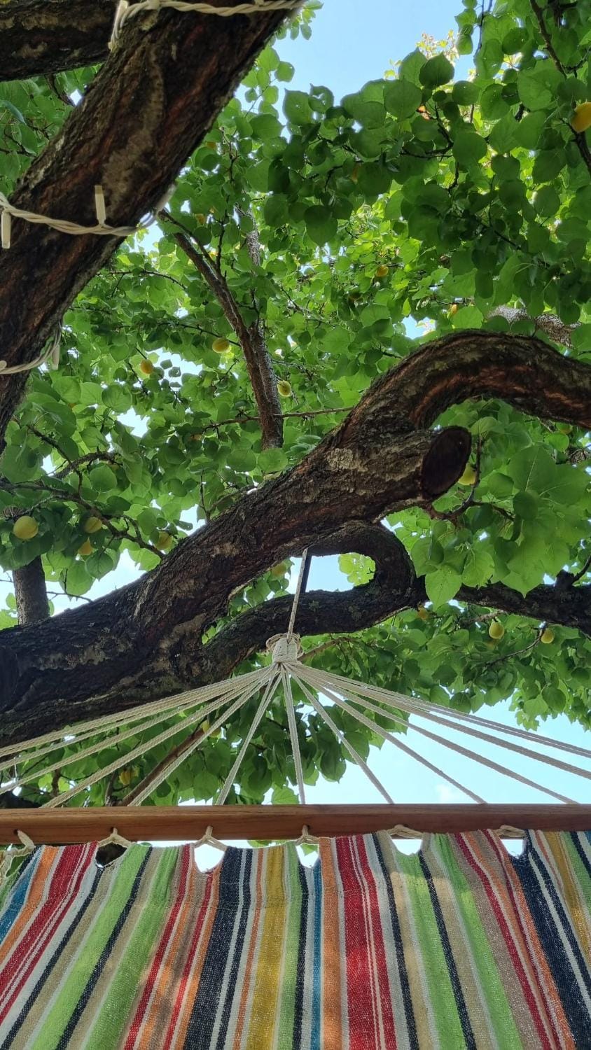 Habitat Eco Farm Luxury tent in Sant Agnello