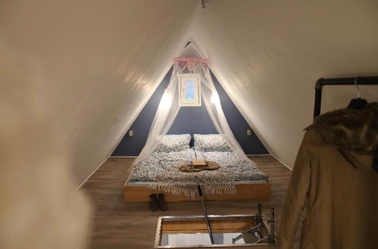 Bed, Photo of the whole room, Bedroom