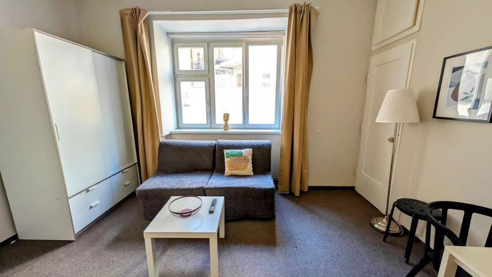Flat in Zizkov -104- Apartment in Prague
