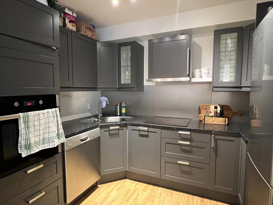 Kitchen or kitchenette, dishwasher, pet friendly, stove