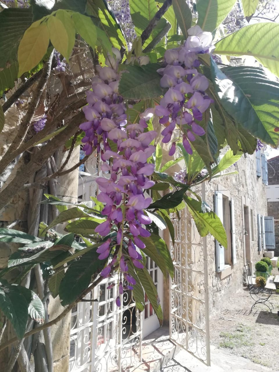 Les 3 Platanes Bed and Breakfast in Occitanie