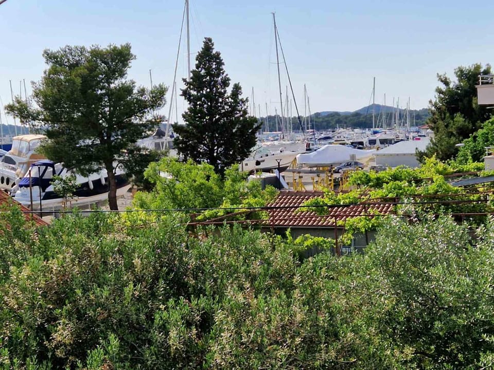 Day, Natural landscape, Garden, Garden view