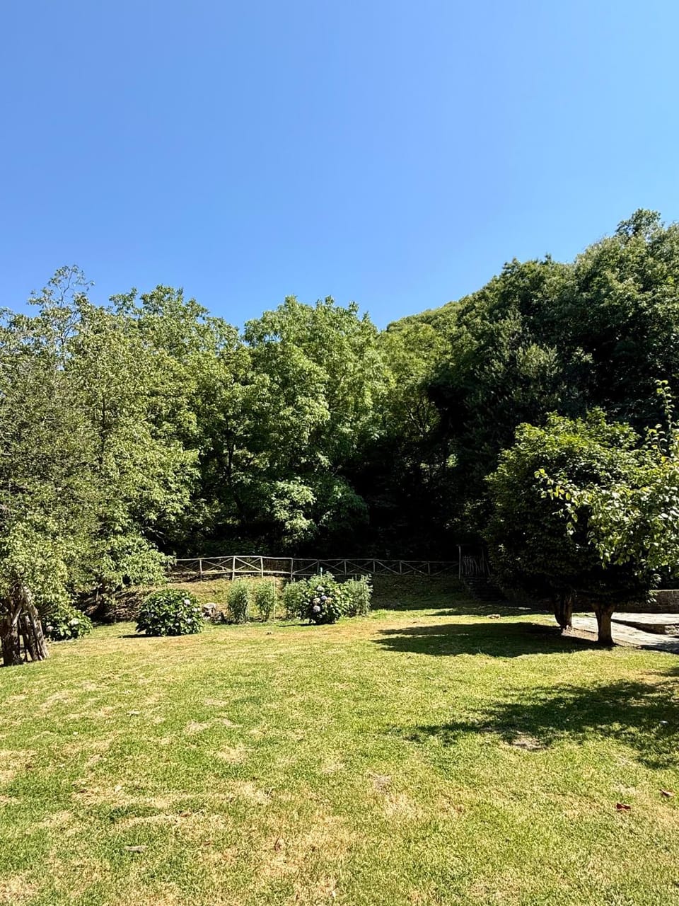 Garden view